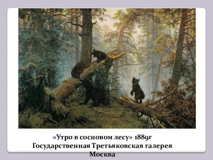 «Утро в сосновом лесу» 1889г Государственная Третьяковская галерея Москва