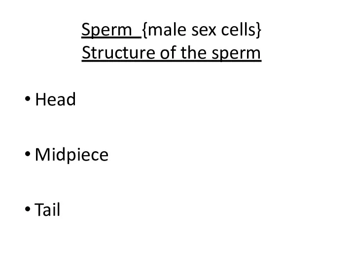 Sperm {male sex cells} Structure of the sperm Head Midpiece Tail