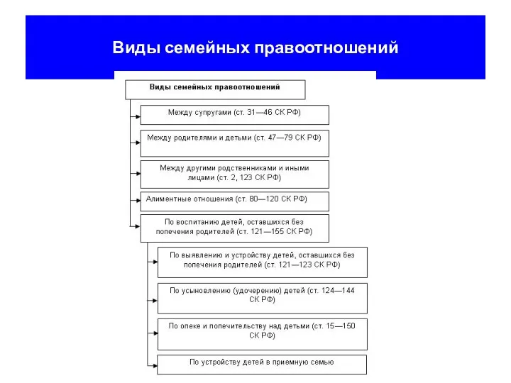 Виды семейных правоотношений