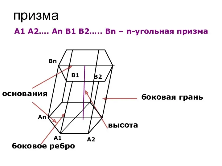 призма основания боковая грань высота боковое ребро A1 An A2