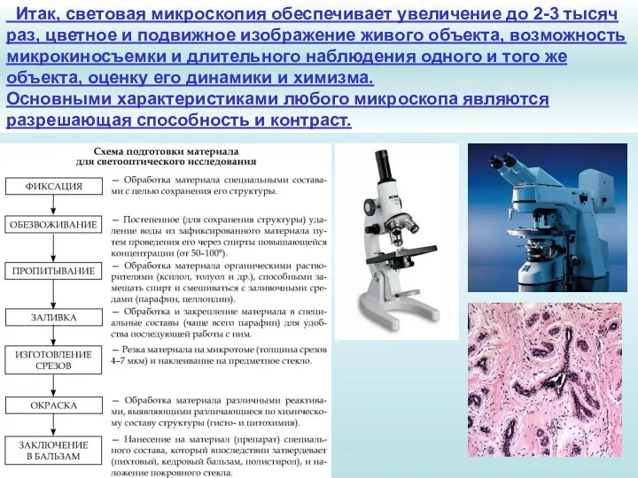 Итак, световая микроскопия обеспечивает увеличение до 2-3 тысяч раз, цветное и подвижное изображение