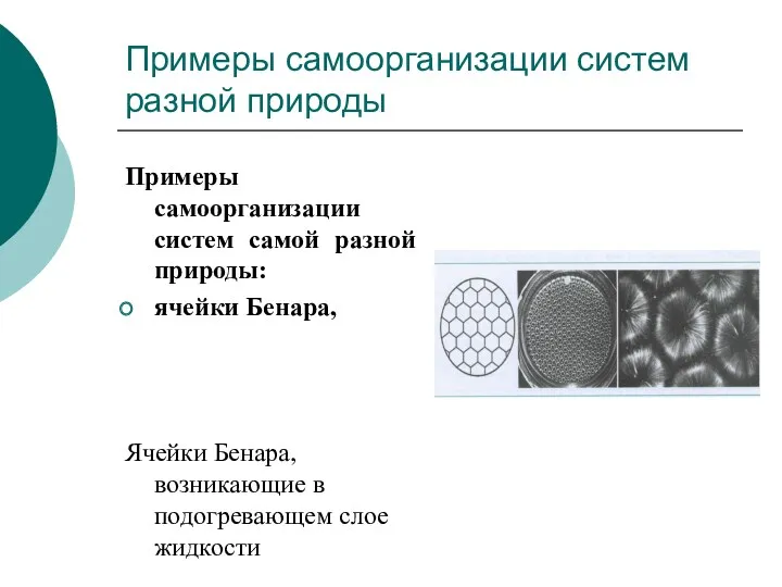 Примеры самоорганизации систем разной природы Примеры самоорганизации систем самой разной