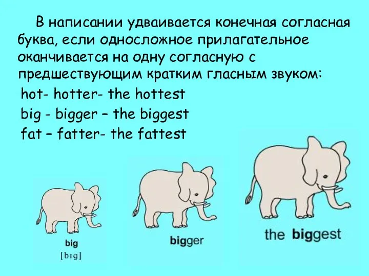 В написании удваивается конечная согласная буква, если односложное прилагательное оканчивается