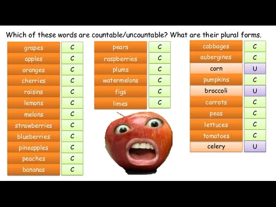 Which of these words are countable/uncountable? What are their plural