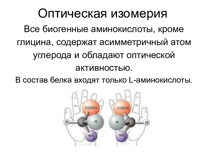 Оптическая изомерия Все биогенные аминокислоты, кроме глицина, содержат асимметричный атом