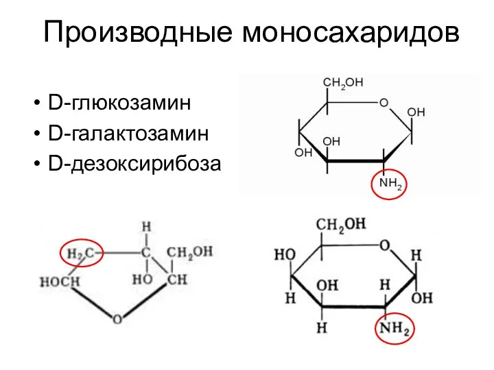 Производные моносахаридов D-глюкозамин D-галактозамин D-дезоксирибоза