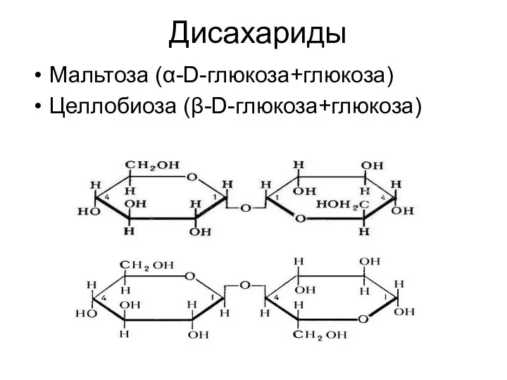 Дисахариды Мальтоза (α-D-глюкоза+глюкоза) Целлобиоза (β-D-глюкоза+глюкоза)