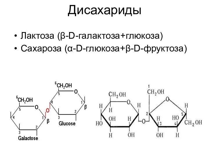 Дисахариды Лактоза (β-D-галактоза+глюкоза) Сахароза (α-D-глюкоза+β-D-фруктоза)