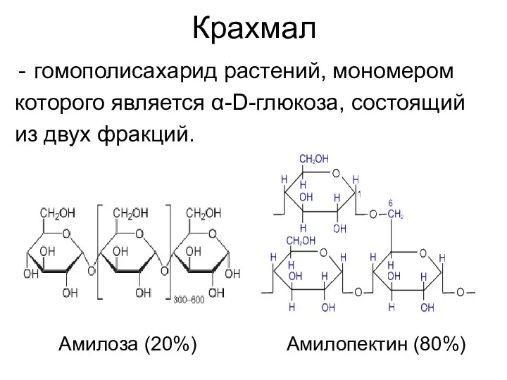 Крахмал гомополисахарид растений, мономером которого является α-D-глюкоза, состоящий из двух фракций. Амилоза (20%) Амилопектин (80%)