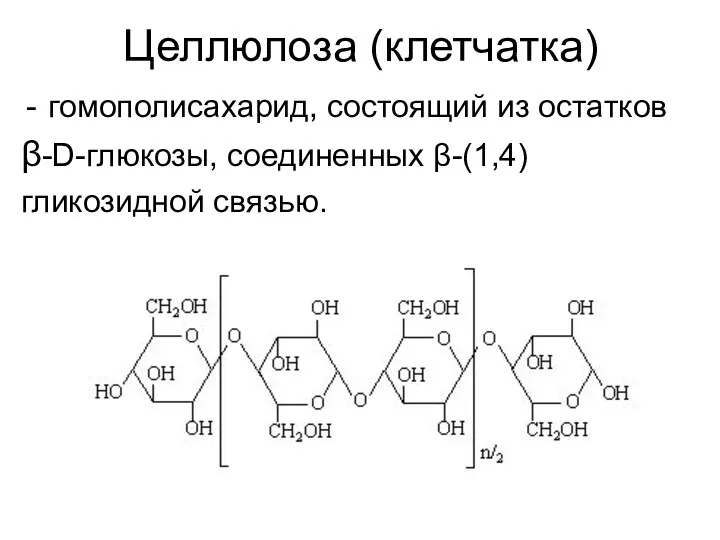 Целлюлоза (клетчатка) гомополисахарид, состоящий из остатков β-D-глюкозы, соединенных β-(1,4) гликозидной связью.