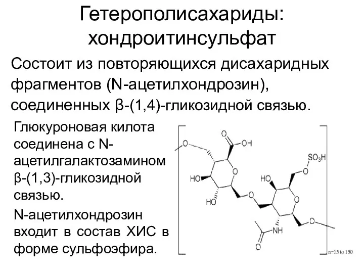 Гетерополисахариды: хондроитинсульфат Состоит из повторяющихся дисахаридных фрагментов (N-ацетилхондрозин), соединенных β-(1,4)-гликозидной