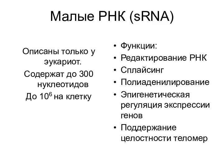 Малые РНК (sRNA) Описаны только у эукариот. Содержат до 300