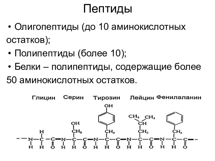Пептиды Олигопептиды (до 10 аминокислотных остатков); Полипептиды (более 10); Белки
