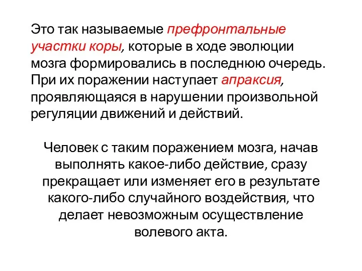 Это так называемые префронтальные участки коры, кото­рые в ходе эволюции