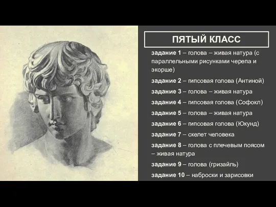 ПЯТЫЙ КЛАСС задание 1 – голова – живая натура (с