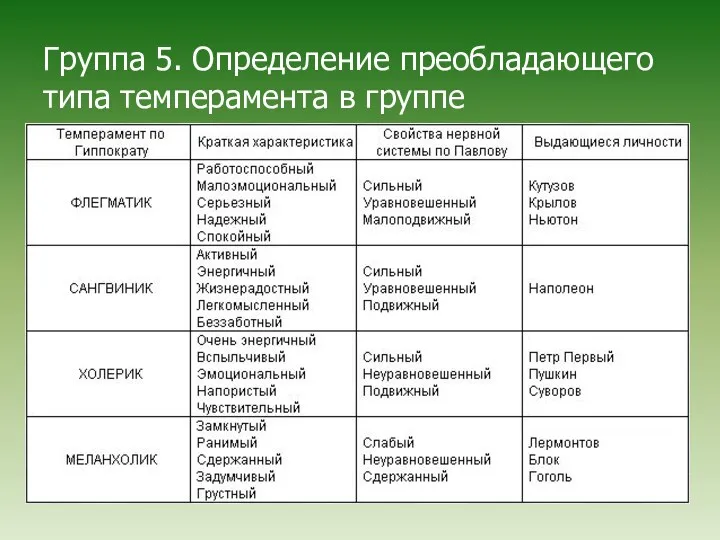 Группа 5. Определение преобладающего типа темперамента в группе