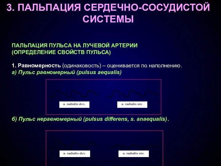 3. ПАЛЬПАЦИЯ СЕРДЕЧНО-СОСУДИСТОЙ СИСТЕМЫ ПАЛЬПАЦИЯ ПУЛЬСА НА ЛУЧЕВОЙ АРТЕРИИ (ОПРЕДЕЛЕНИЕ