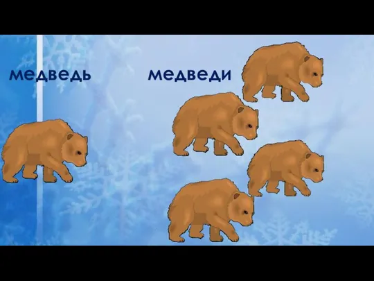 медведь медведи