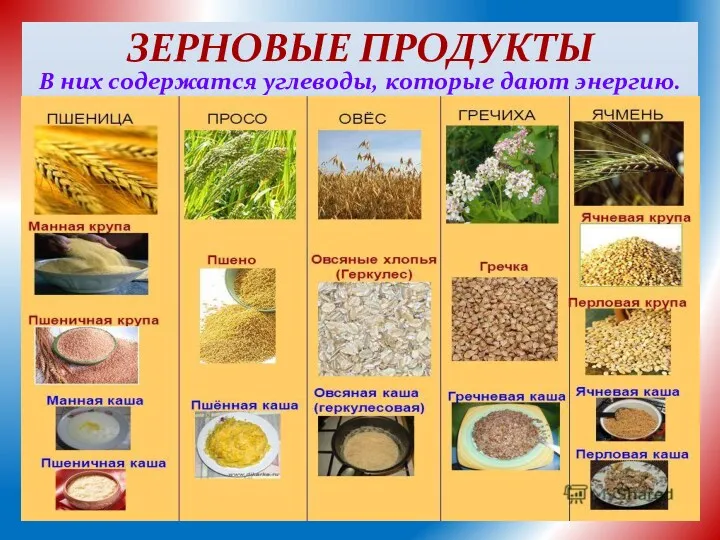 ЗЕРНОВЫЕ ПРОДУКТЫ В них содержатся углеводы, которые дают энергию.