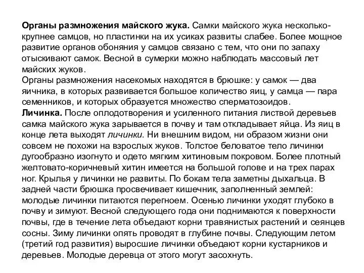 Органы размножения майского жука. Самки майского жука несколько- крупнее самцов,