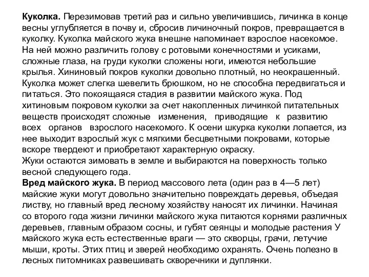 Куколка. Перезимовав третий раз и сильно увеличившись, личинка в конце