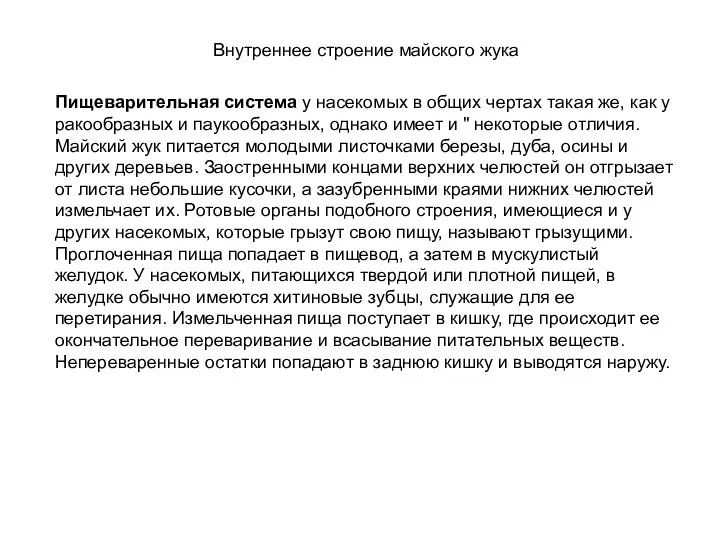 Внутреннее строение майского жука Пищеварительная система у насекомых в общих