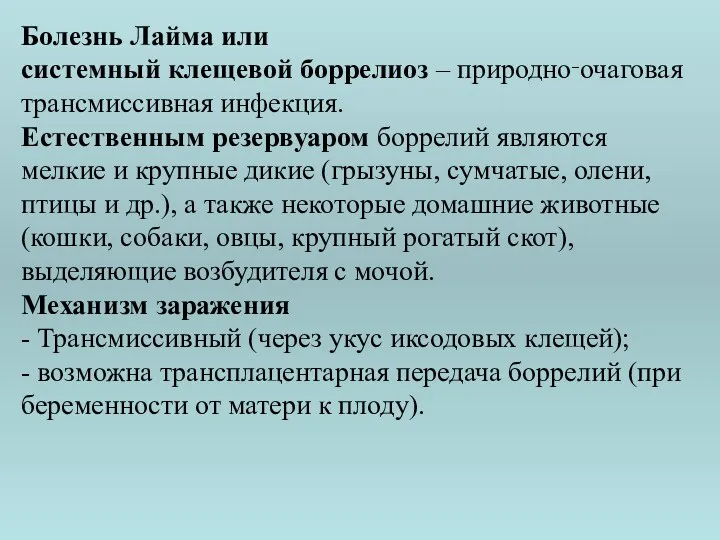 Болезнь Лайма или системный клещевой боррелиоз – природно‑очаговая трансмиссивная инфекция.