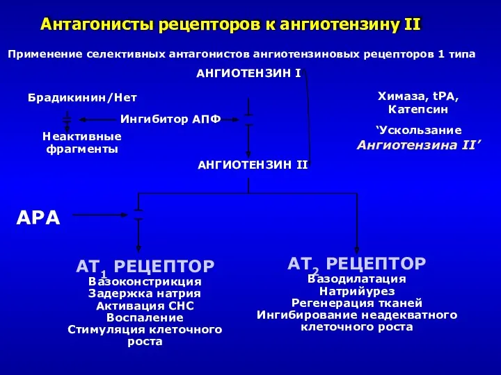 Антагонисты рецепторов к ангиотензину II Брадикинин/Нет Неактивные фрагменты АНГИОТЕНЗИН I