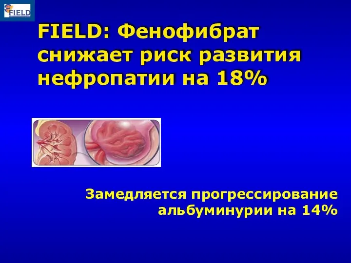 FIELD: Фенофибрат снижает риск развития нефропатии на 18% Замедляется прогрессирование альбуминурии на 14%