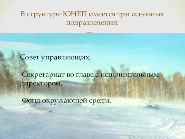 В структуре ЮНЕП имеется три основных подразделения: Совет управляющих, Секретариат во главе с