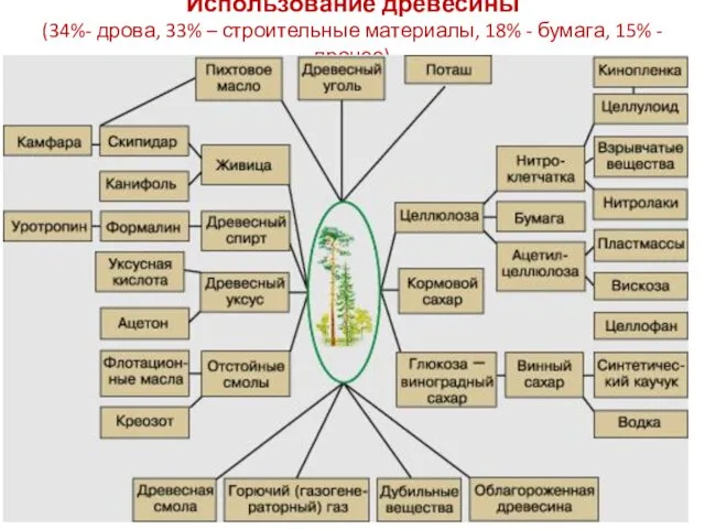 Использование древесины (34%- дрова, 33% – строительные материалы, 18% - бумага, 15% - прочее)