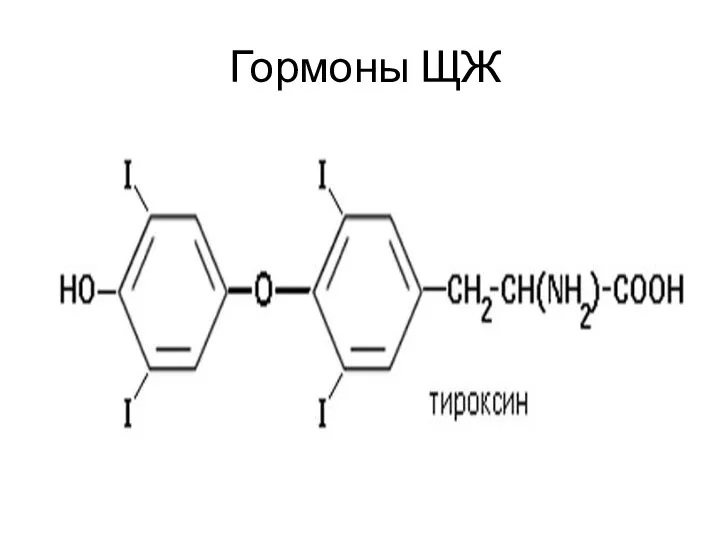 Гормоны ЩЖ