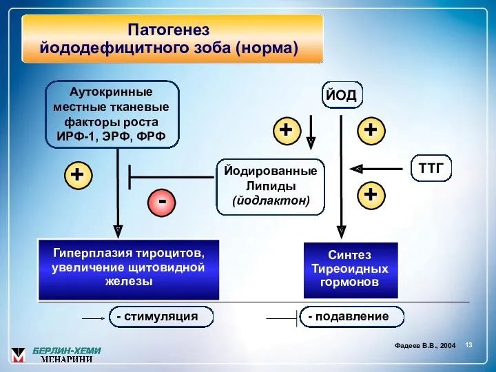 13 Патогенез йододефицитного зоба (норма) - стимуляция - подавление Фадеев