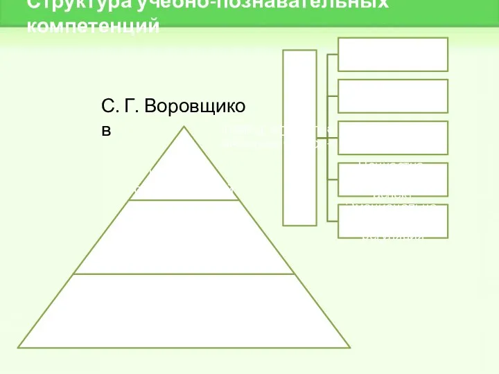 Структура учебно-познавательных компетенций С. Г. Воровщиков
