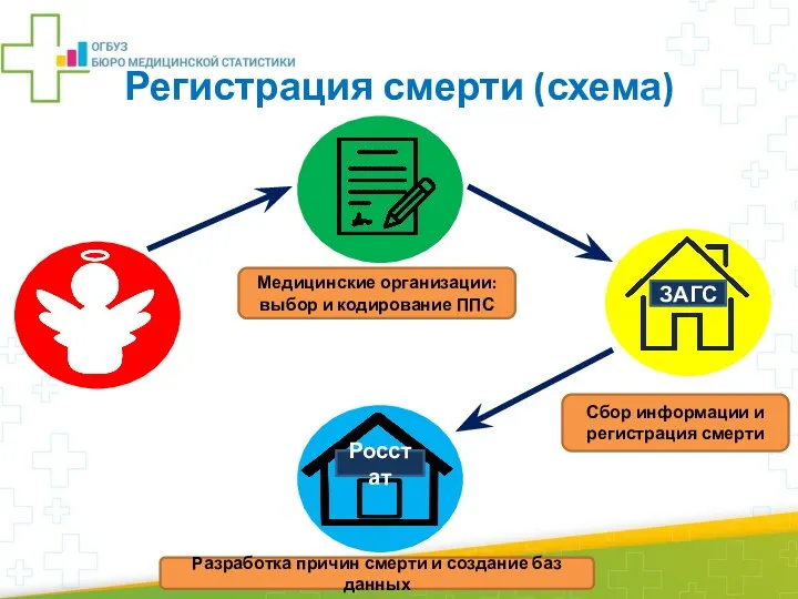 Регистрация смерти (схема) ЗАГС Росстат Медицинские организации: выбор и кодирование