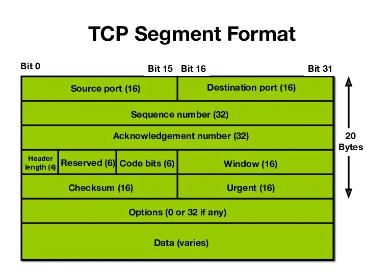 TCP Segment Format Source port (16) Destination port (16) Sequence