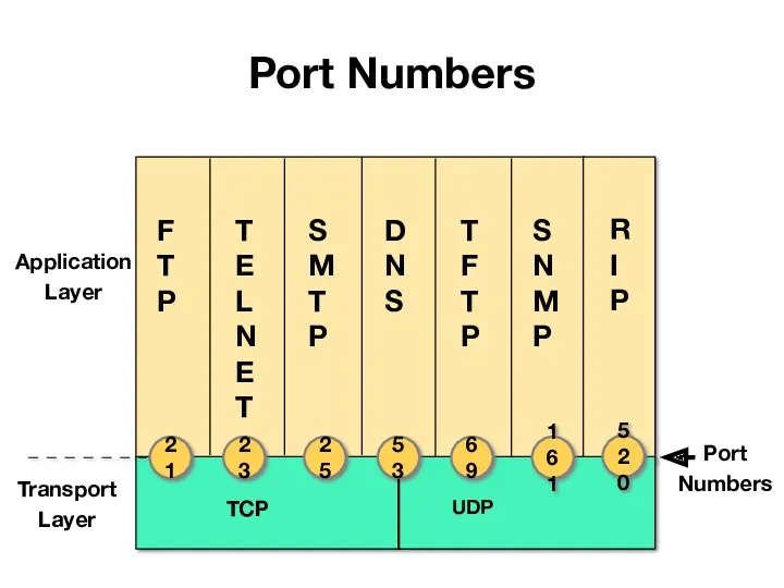 Port Numbers TCP Port Numbers F T P Transport Layer