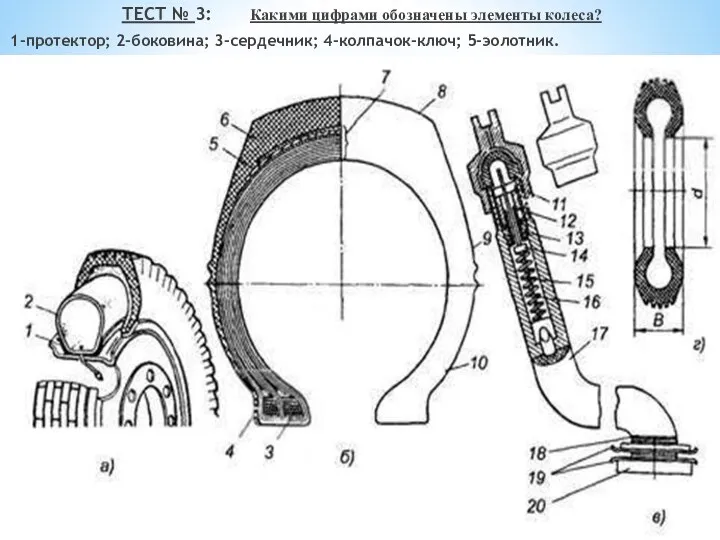 ТЕСТ № 3: Какими цифрами обозначены элементы колеса? 1-протектор; 2-боковина; 3-сердечник; 4-колпачок-ключ; 5-эолотник.