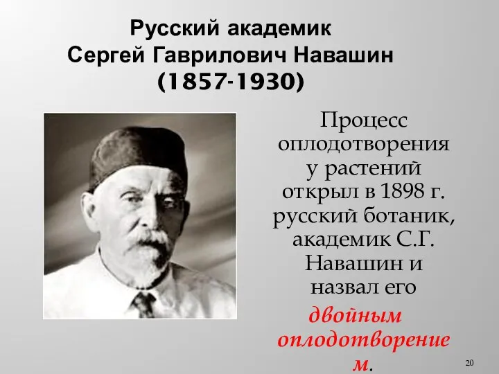 Русский академик Сергей Гаврилович Навашин (1857-1930) Процесс оплодотворения у растений