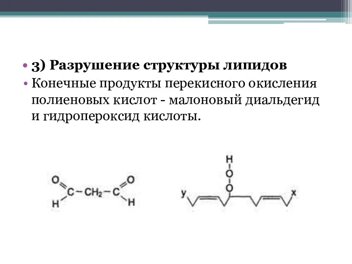 3) Разрушение структуры липидов Конечные продукты перекисного окисления полиеновых кислот - малоновый диальдегид и гидропероксид кислоты.