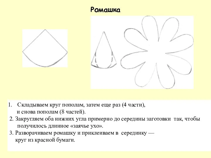 Ромашка Складываем круг пополам, затем еще раз (4 части), и