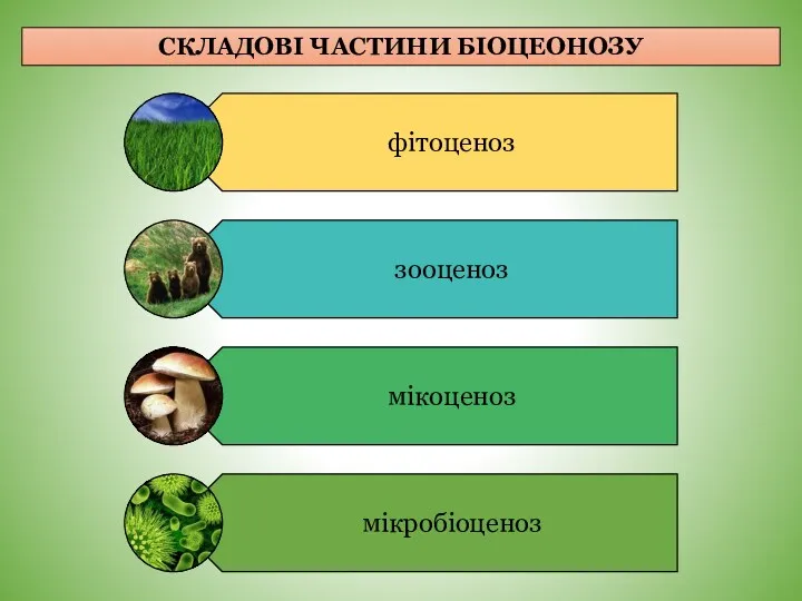 СКЛАДОВІ ЧАСТИНИ БІОЦЕОНОЗУ