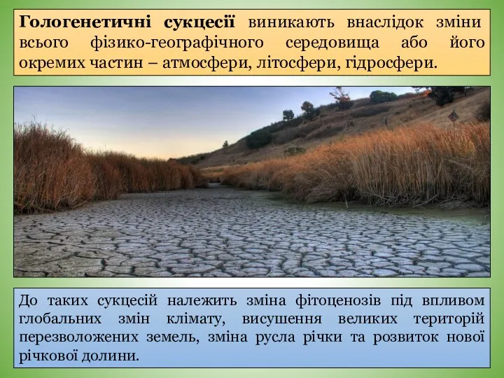 Гологенетичні сукцесії виникають внаслідок зміни всього фізико-географічного середовища або його