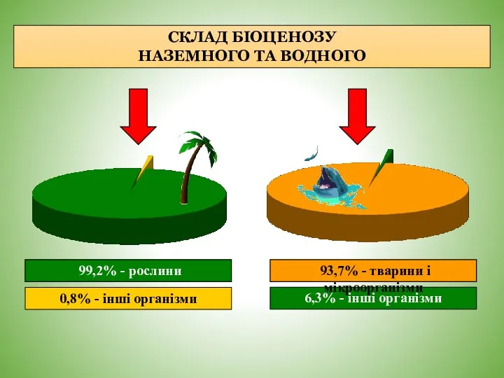 СКЛАД БІОЦЕНОЗУ НАЗЕМНОГО ТА ВОДНОГО 99,2% - рослини 0,8% -