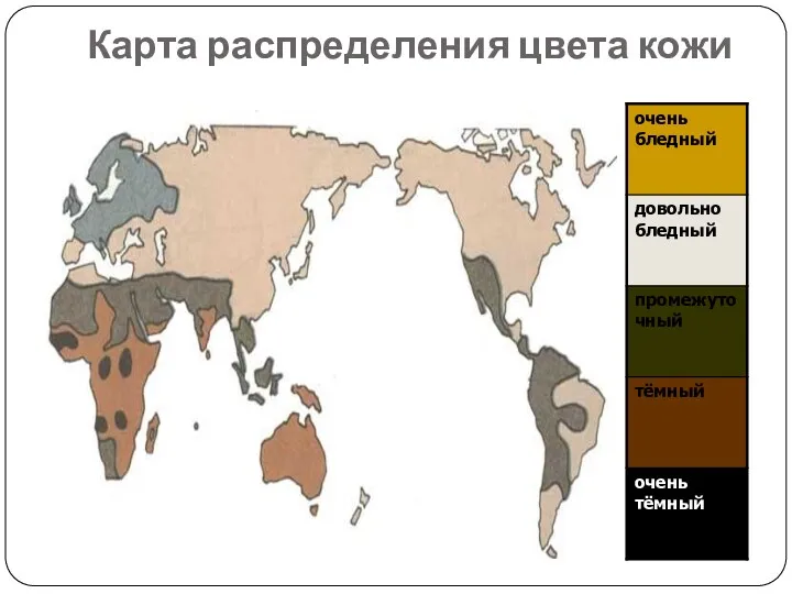 Карта распределения цвета кожи