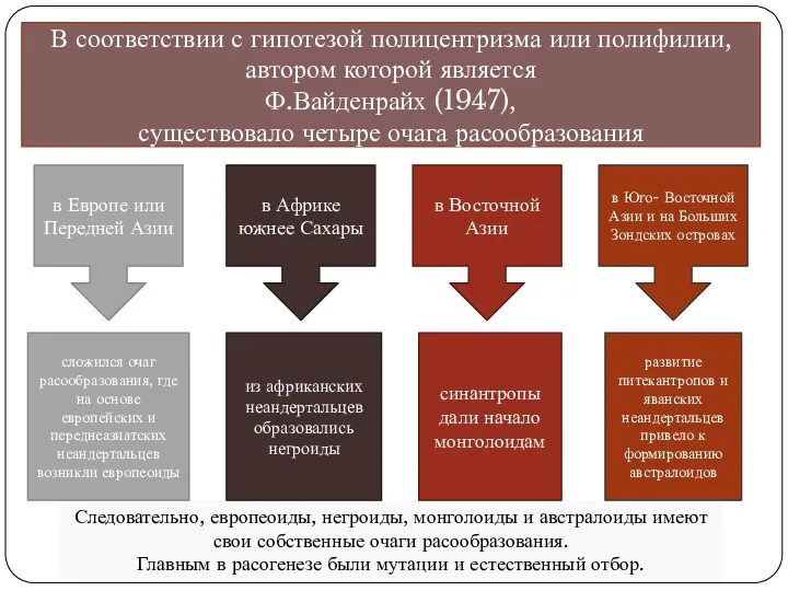 Следовательно, европеоиды, негроиды, монголоиды и австралоиды имеют свои собственные очаги