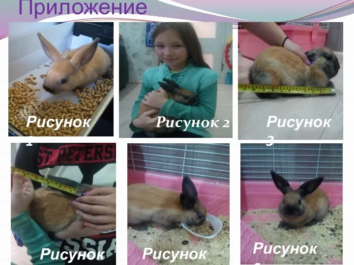 Приложение Рисунок 1 Рисунок 3 Рисунок 4 Рисунок 5 Рисунок 6 Рисунок 2