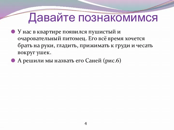 Давайте познакомимся У нас в квартире появился пушистый и очаровательный