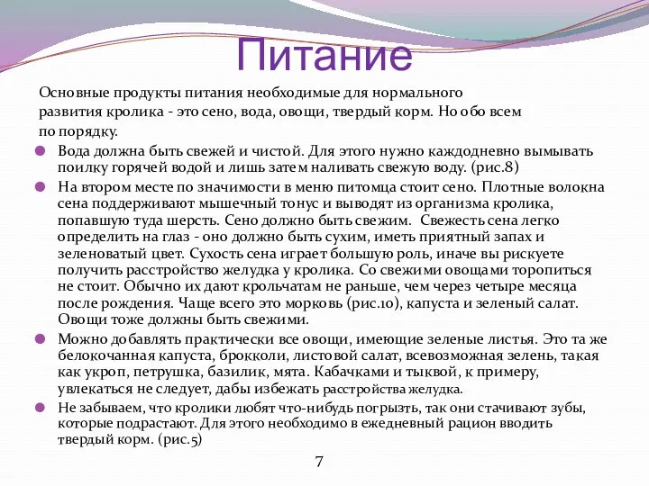 Питание Основные продукты питания необходимые для нормального развития кролика -