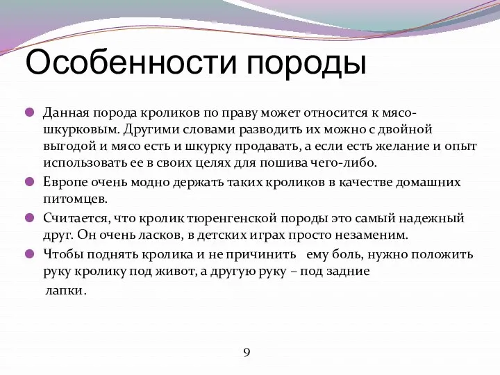 Особенности породы Данная порода кроликов по праву может относится к